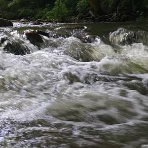 Meet your Posher, Stephen